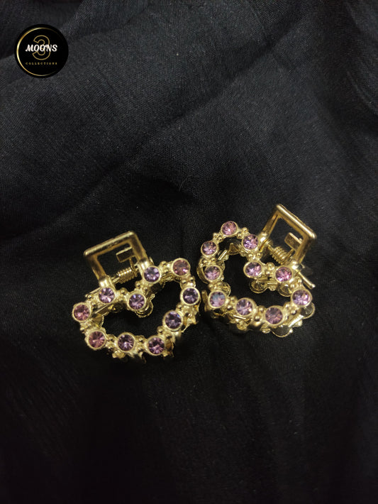 Pair Of Fancy Hair Catch